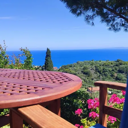 Scenic House *